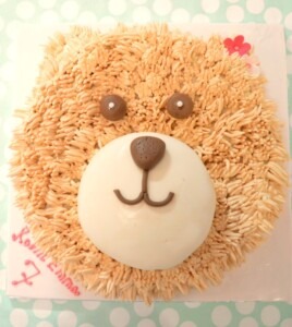 teddybear-bear-taart-bruin