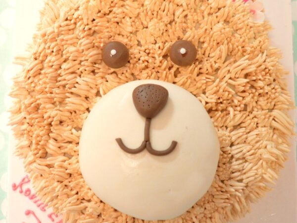 teddy-bear-cake-brown