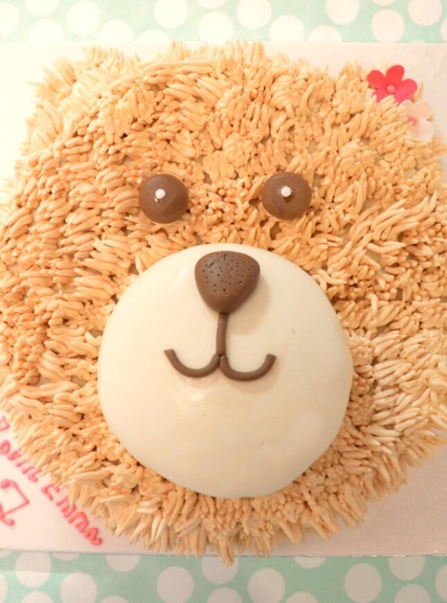 Beer taart teddy-bear-cake-brown