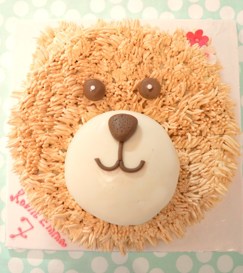 teddy-bear-cake-brown