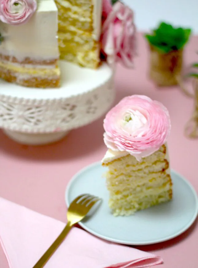 VT_Elegant_02 VT_Elegant_02