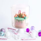 FT_GingeCake_Isolated_02