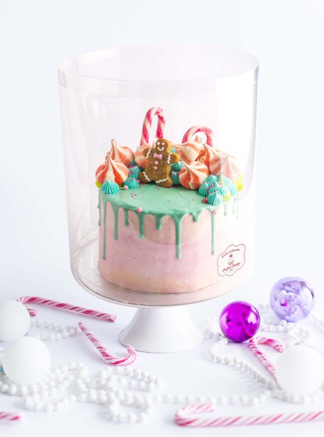 FT_GingeCake_Isolated_02 FT_GingeCake_Isolated_02