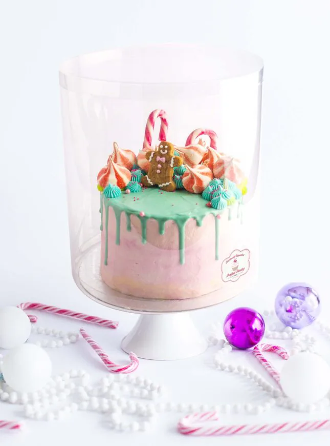FT_GingeCake_Isolated_02 FT_GingeCake_Isolated_02