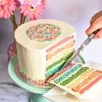 Regenboog-taart-spikkels