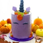 halloween paars unicorn
