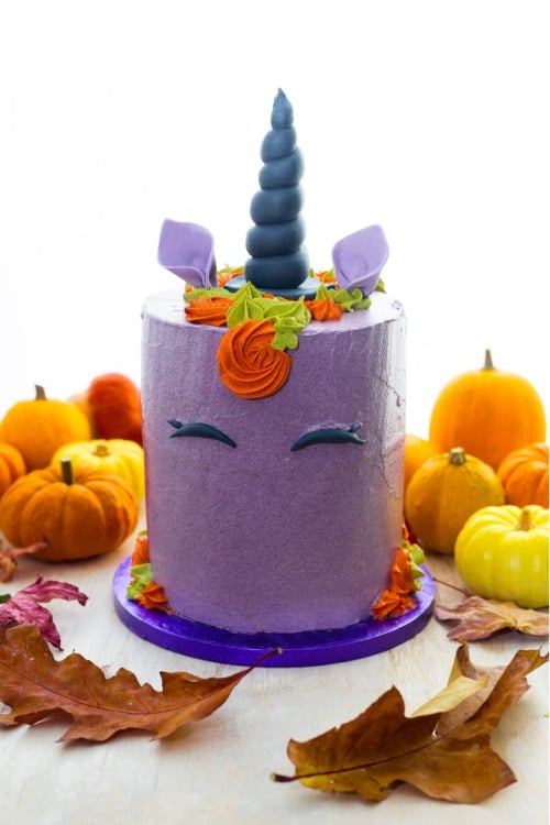 halloween paars unicorn