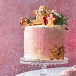 vegan-kerst-taart-roze-koek-manetjes-erop