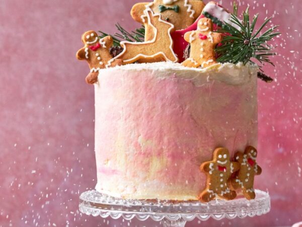 vegan-kerst-taart-roze-koek-manetjes-erop