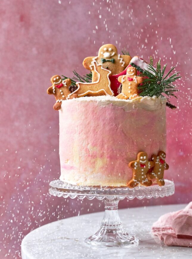 Christmas cake- Perfect Pastry (high res) (1) vegan-kerst-taart-roze-koek-manetjes-erop