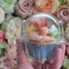 cupcakes-in-plastic-doos-per-1-verpakt