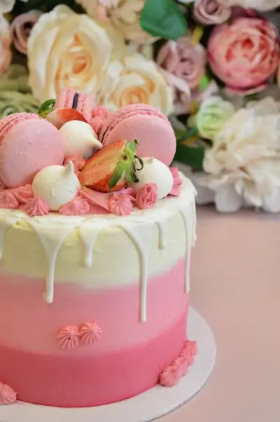macaronrozetaart macaronrozetaart