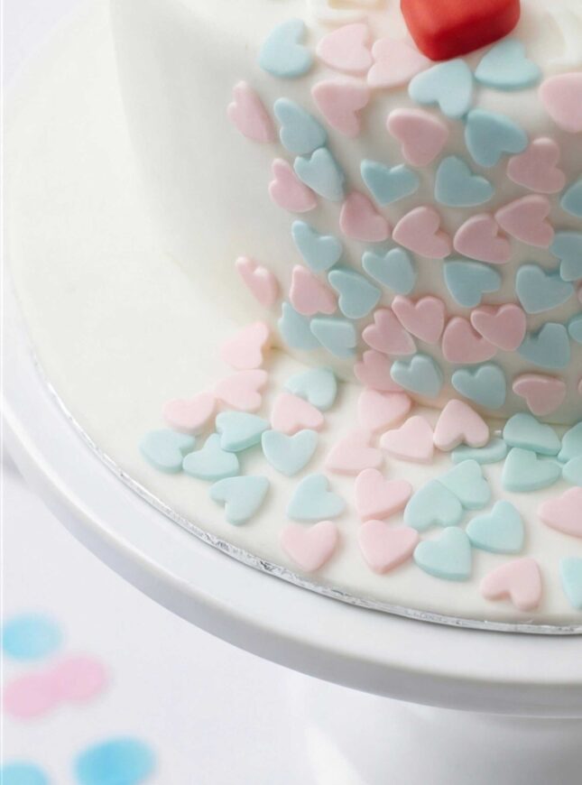 Pink-or-Blue-gender-revealtaart-1 Pink-or-Blue-gender-revealtaart-1