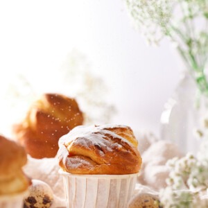 brioche-met-poedersuiker
