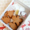 kerst-koekjes-kit-sprinkles-glazuur-in-de-doos