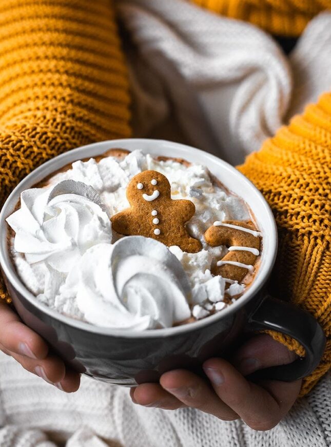 gingerbread-koek chocolade-melk-met-een-gingerbread-koek