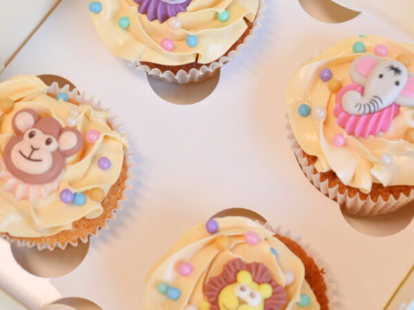 dieren-cupcakes-box