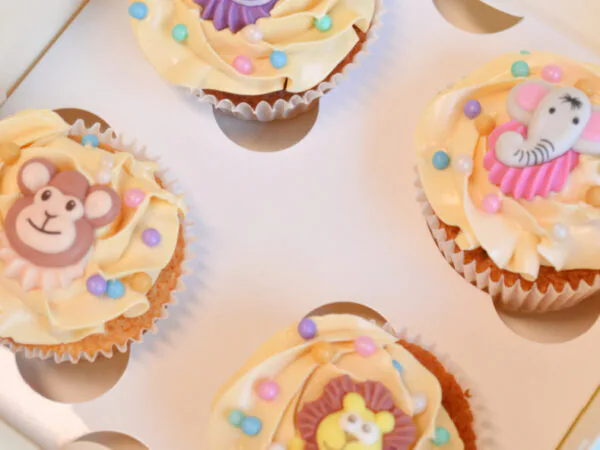 dieren-cupcakes-box
