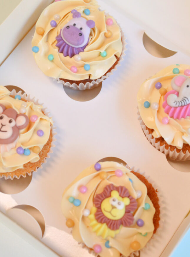 dieren-cupcakes-box